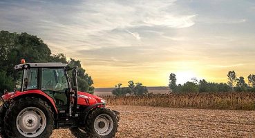 1000 Çiftçi 1000 Bereket çiftçileri ‘sarı gelin’ hasadında!