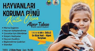 İnegöl’ün En Güzel Kedisi Ve Köpeği Seçilecek