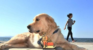 Narlıdere’de Pati-Fest Heyecanı Yaşanacak