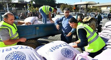 Atalık karakılçık buğdayı bir avuçtan 11 bin dönüme çıkıyor