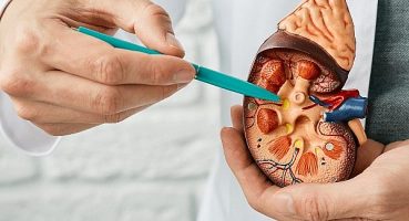 Böbrek Kanserine Yönelik Tedavi Seçenekleri Artıyor