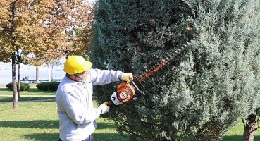 Büyükşehir’den ağaçlara estetik dokunuş