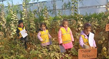 Çankayalı Minikler Bostanda Öğreniyor