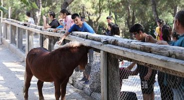Hayvanat Bahçesi özel öğrencileri ağırladı