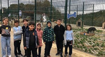 Hayvanlarla iyi ilişkiler kuran çocuklar empati ve öz güven konusunda bir adım önde