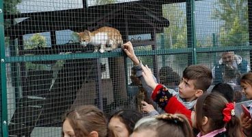 İnegöl Belediyesi Barınağı Can Dostlarına Şifa Oluyor