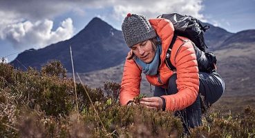 Kuzey Kutbu’nda tehlikeli yeşerme