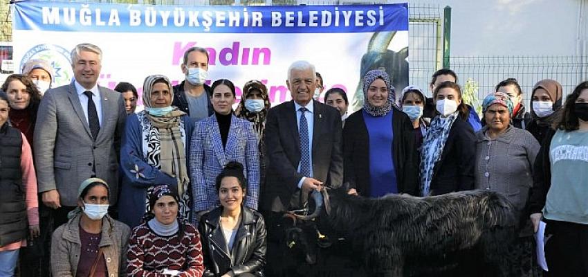 mugla-buyuksehir-belediyesi-yataganda-kil-kecisi-dagitiyor.jpg