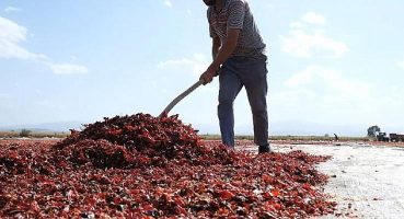 Mustafakemalpaşa Dünya Mutfaklarında