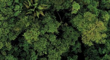 Teknosa Hatıra Ormanı e-atıklarla büyüyecek