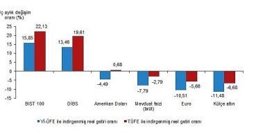 TÜİK Aylık en yüksek reel getiri BIST 100 endeksinde oldu