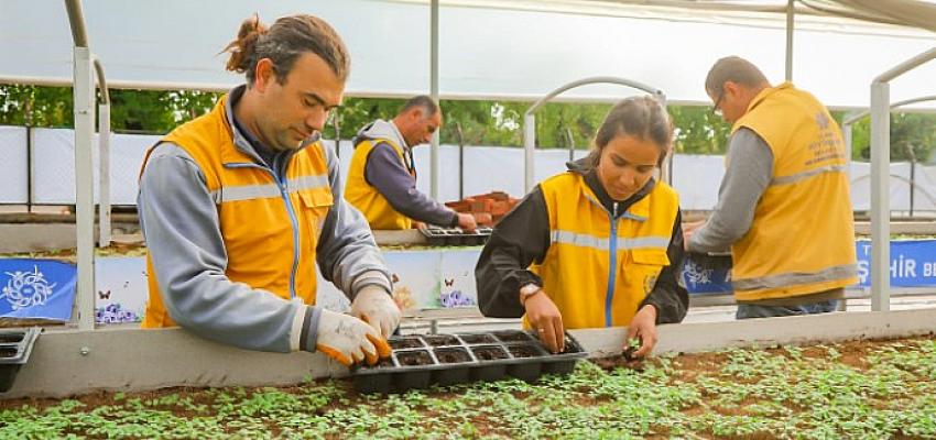 aydin-buyuksehir-belediyesi-aydini-renklendiren-cicekleri-kendi-uretiyor.jpg