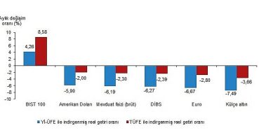 Aylık en yüksek reel getiri BIST 100 endeksinde oldu