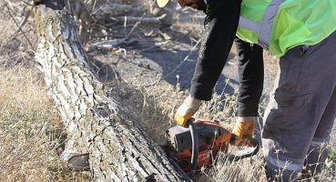 Budanan Ağaçlar İhtiyaç Sahiplerine Yakacak Oluyor