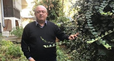 Çiftçinin Yüzü Gülmeye Başladı