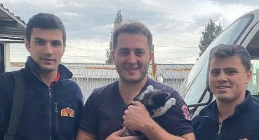 Duvara sıkışan yavru kediyi itfaiye kurtardı