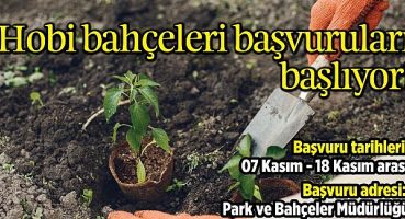 Hobi Bahçeleri için başvurular başlıyor