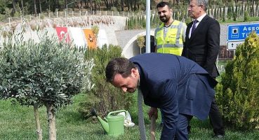 Kalyon Holding’ten rekor fidan dikimi