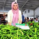 kayseri-bereketli-bir-organik-sezonu-gecirdi.jpg