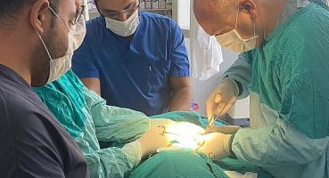 Kaza geçiren çakal ameliyat edildi