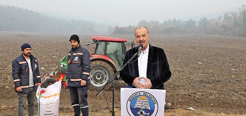 mudanya-belediyesi-bugday-tohumlarini-toprakla-bulusturdu.jpg