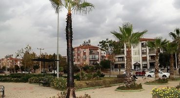 Ödemiş’te Şehir Magandaları Eğitim Şehitleri Parkı’ndaki Palmiye Ağacını Yaktı