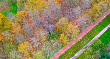 Rengarenk yapraklar dile geldi