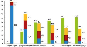 Küçük ve Orta Büyüklükteki Girişim İstatistikleri, 2021
