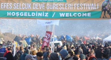 Efes Selçuk Deve Güreşleri Festivali On Binleri Pamucak'ta Buluşturdu