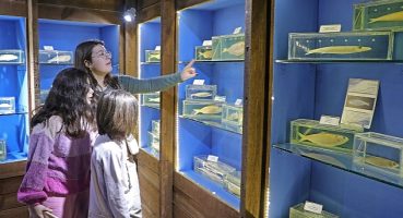 Deniz Biyoloji Müzesi'ndeki balıklar yenilenecek