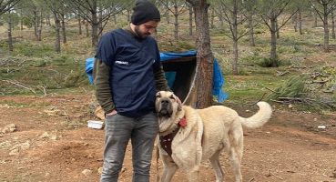 Antalya Büyükşehir Belediyesi  veterinerleri Gaziantep'te