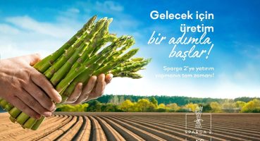 Kuşkonmaz üretim projesi Sparga2 39 milyon TL hedefle fonlamaya açıldı