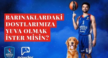 Anadolu Efes, Pawder İş Birliğiyle Depremzede Köpeklerin Ve Barınak Hayvanlarının Sahiplendirilmesine Destek Olacak