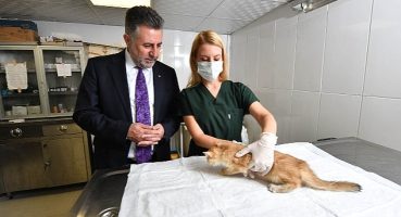 Bayraklı'daki can dostlara özel klinik!