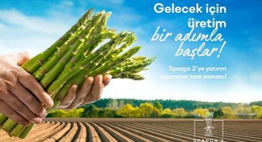 Kuşkonmaz üretim projesi Sparga2 Tarım 41 milyon 604 bin 785 TL fon topladı