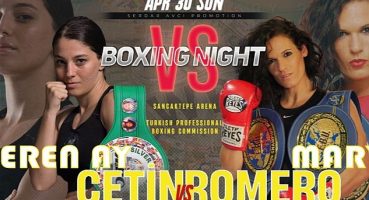 Şampiyon Boksörler Çarşamba 14.30'da D-Smart ve D-Smart GO'da