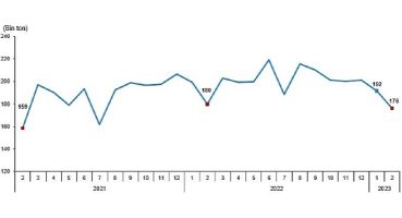 TÜİK: Tavuk eti üretimi 176 bin 236 ton, tavuk yumurtası üretimi 1,61 milyar adet olarak gerçekleşti