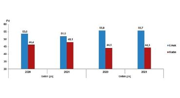 TÜİK: Yurt dışından Türkiye'ye 739 bin 364 kişi göç etti