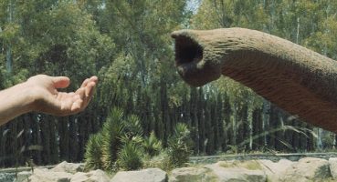 İstanbul Modern Sinema'da Unutma Biçimleri