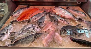 Amerikalıların protein ihtiyacını karşılamaya gittiler