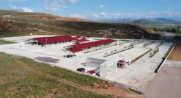 Canlı Hayvan Pazarı ve Ot Borsası Sivas Hayvancılığına kazandırıldı