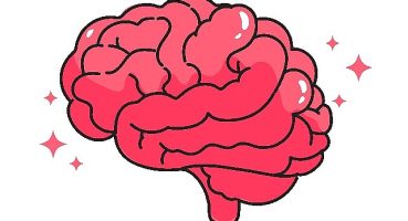 İyi korunmuş sağlıklı bir beyine ihtiyacımız var