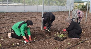 Kocaeli Büyükşehir'den kadın girişimcilere tarımsal destek