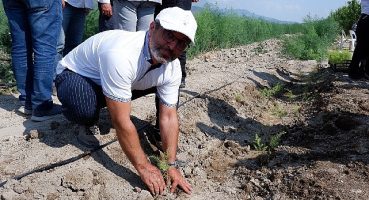 Kuşkonmaz üreticisi Sparga1 Tarım A.Ş., 400 dönümlük alanda dikim faaliyetine başladı