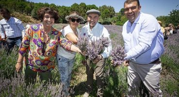 Soyer'den üreticilere lavanta işleme tesisi müjdesi