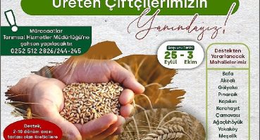 %50 Hibeli Buğday ve Tritikale Tohumu desteği başlıyor
