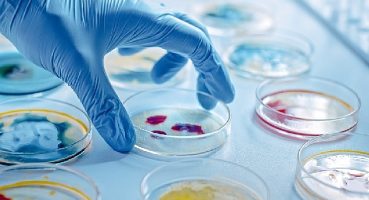 Enfeksiyonun En Ağır Hali: Sepsis