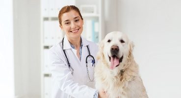 Tüm Dünyada Her Yıl 59 Bin Kişinin Hayatını Kaybettiği Kuduz, Tamamen Önlenebilen Bir Hastalıktır