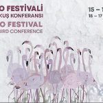 turkiyenin-ilk-flamingo-festivali-izmirde-gerceklesiyor.jpg