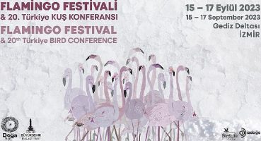 Türkiye'nin ilk Flamingo Festivali İzmir'de Gerçekleşiyor.
